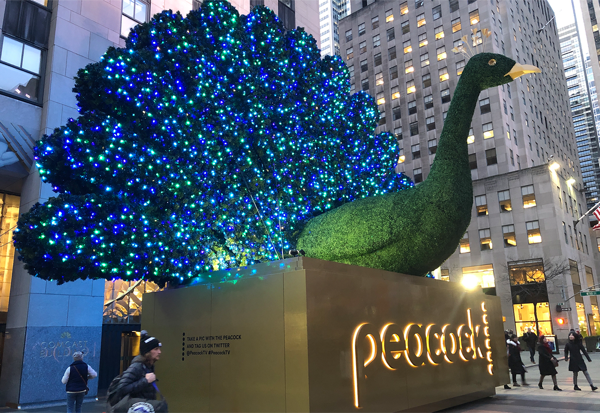 NBC 40 foot Topiary Peacock